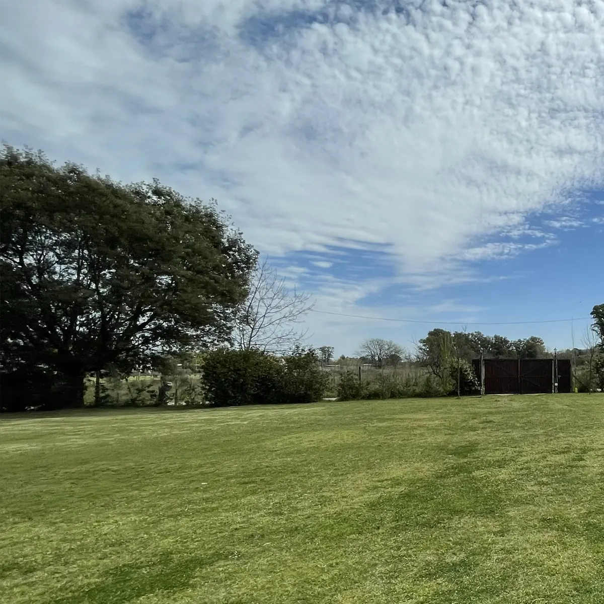 Árboles y cielo abierto en la quinta en Lobos